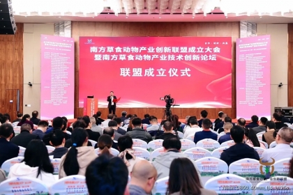 聚焦价值创造，助推提质增效丨兴嘉生物助力南方草食动物产业技术创新论坛