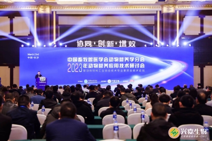大咖云集，群英荟萃，技术论坛，圆满收官