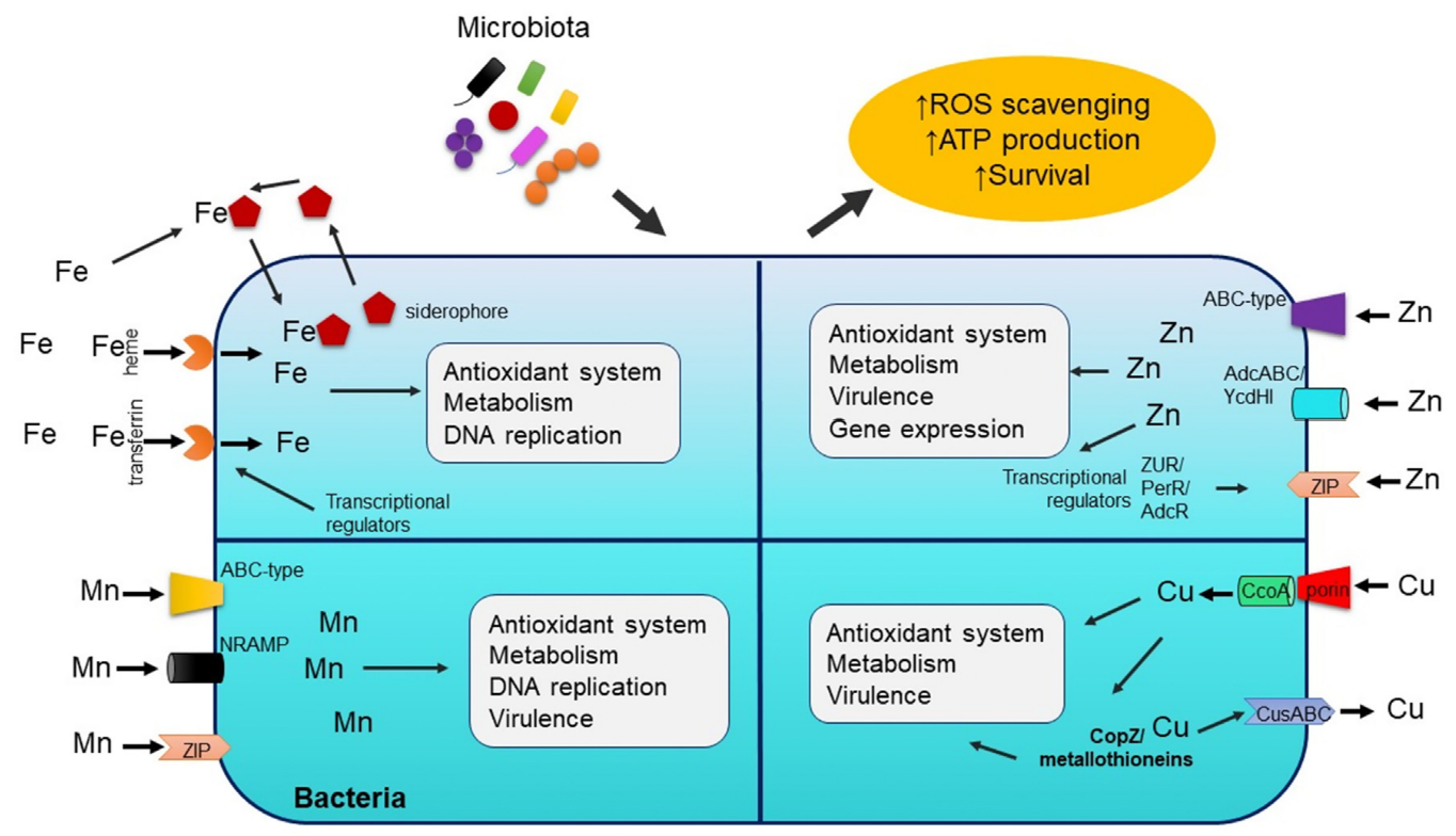201612003.png (677 KB)
