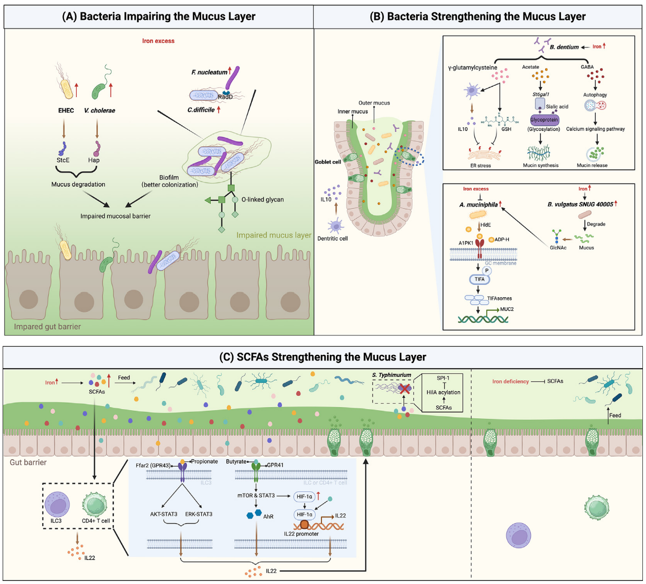 201612006.png (903 KB)