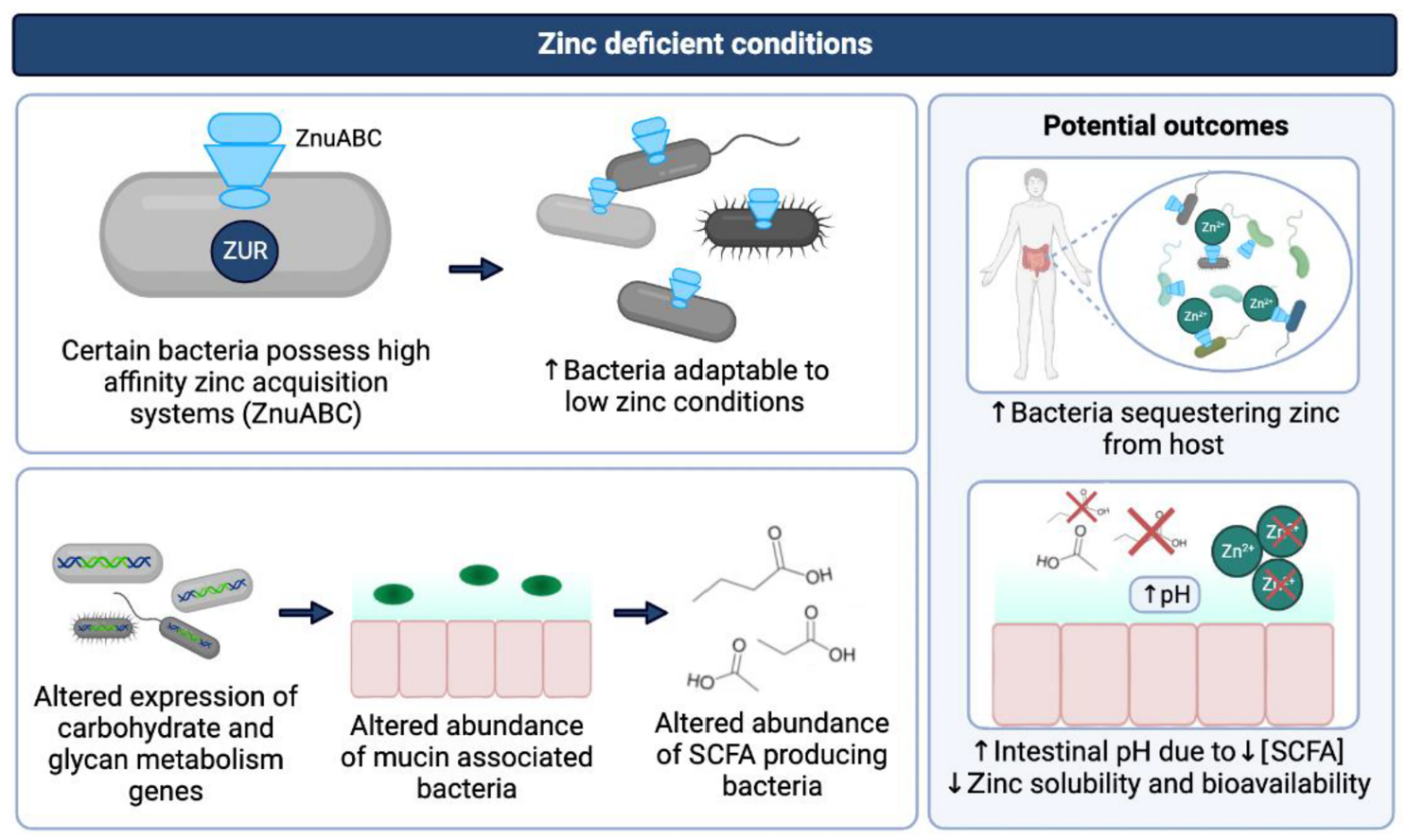 201612007.png (819 KB)