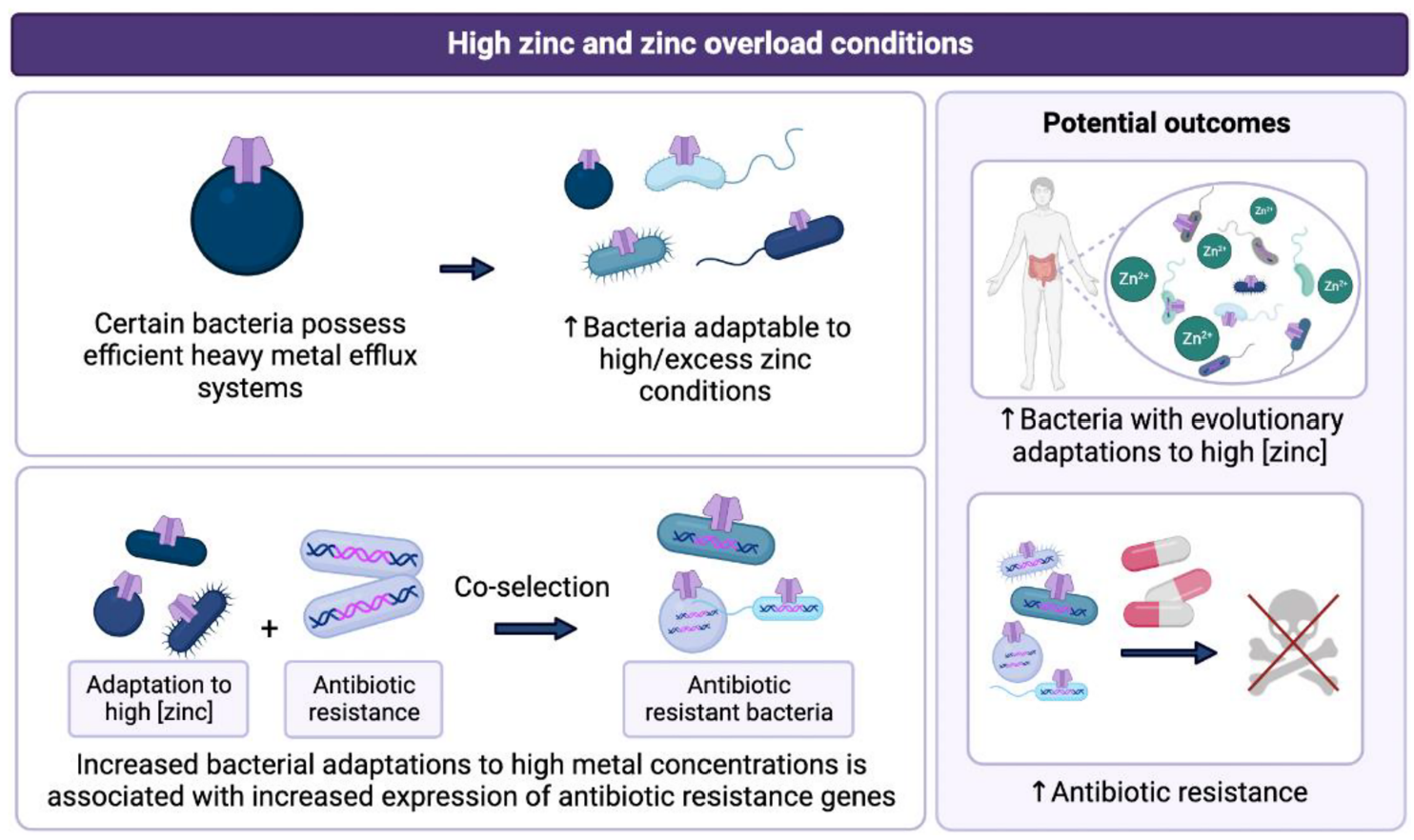 201612008.png (854 KB)