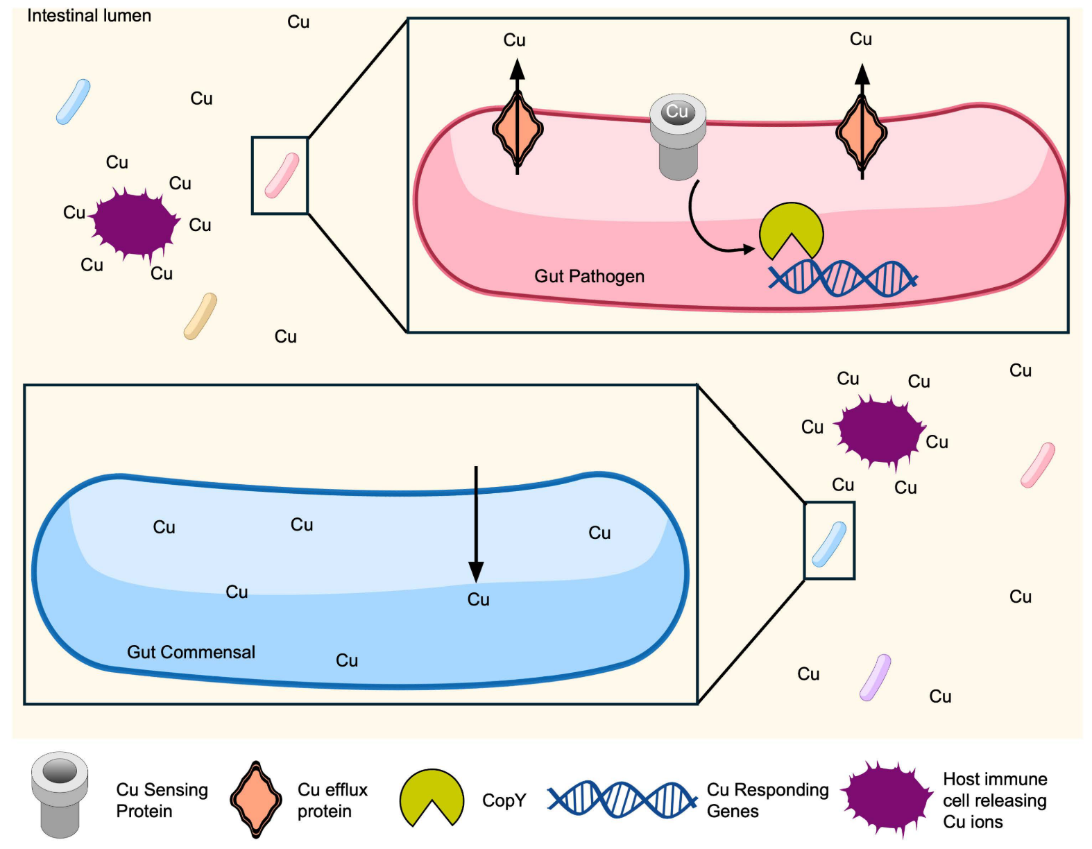 201612009.png (579 KB)