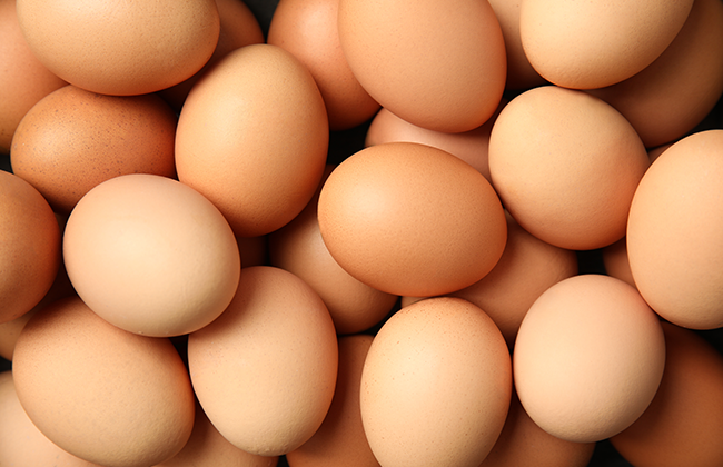 有机锌对产蛋后期蛋鸡生产性能、血清生化指标及肝脏代谢产物的影响