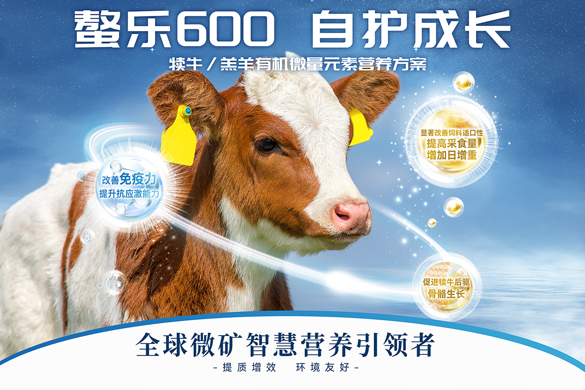 解锁微量元素剂型如何撬动犊牛采食量