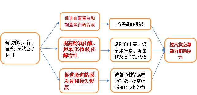 2025072205.png (782 KB)