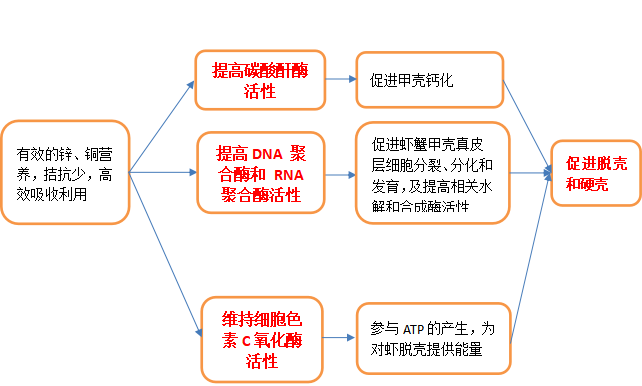 2025072206.png (970 KB)