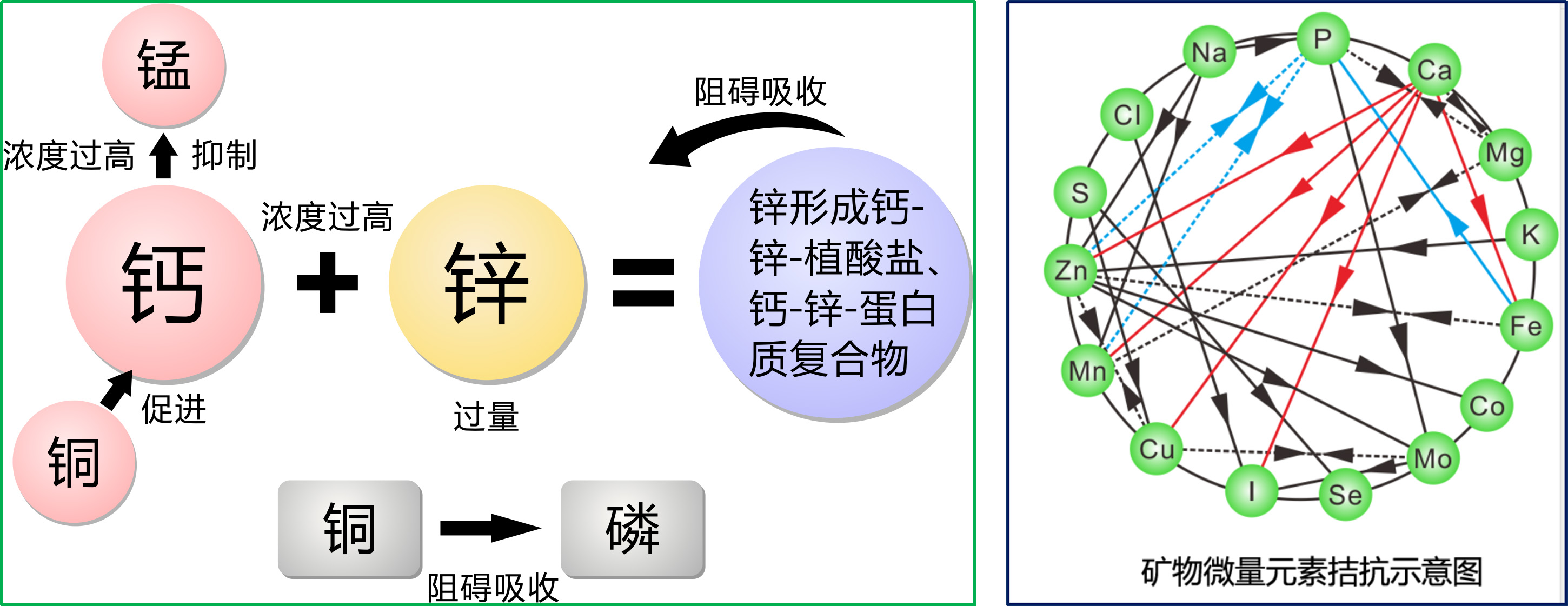 2025081203.jpg (410 KB)