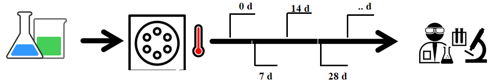 2025081911.png (25 KB)