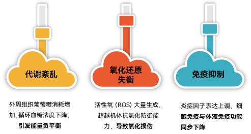 2025082601.png (510 KB)