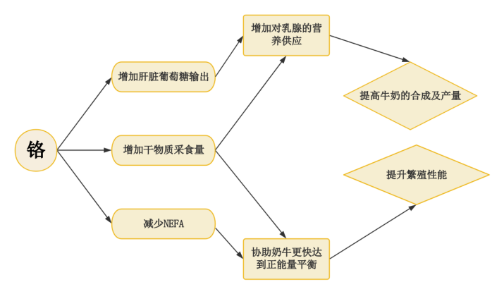 2025082606.png (65 KB)