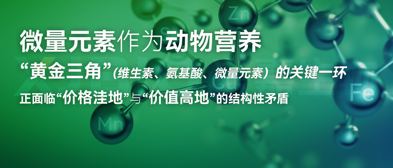 2025090601.png (672 KB)