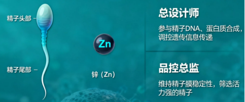 2025092801.png (117 KB)