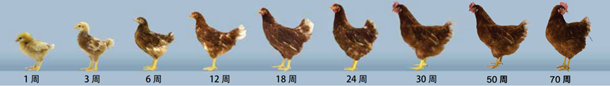 2025100901.png (93 KB)