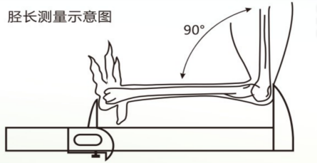 2025100904.png (51 KB)