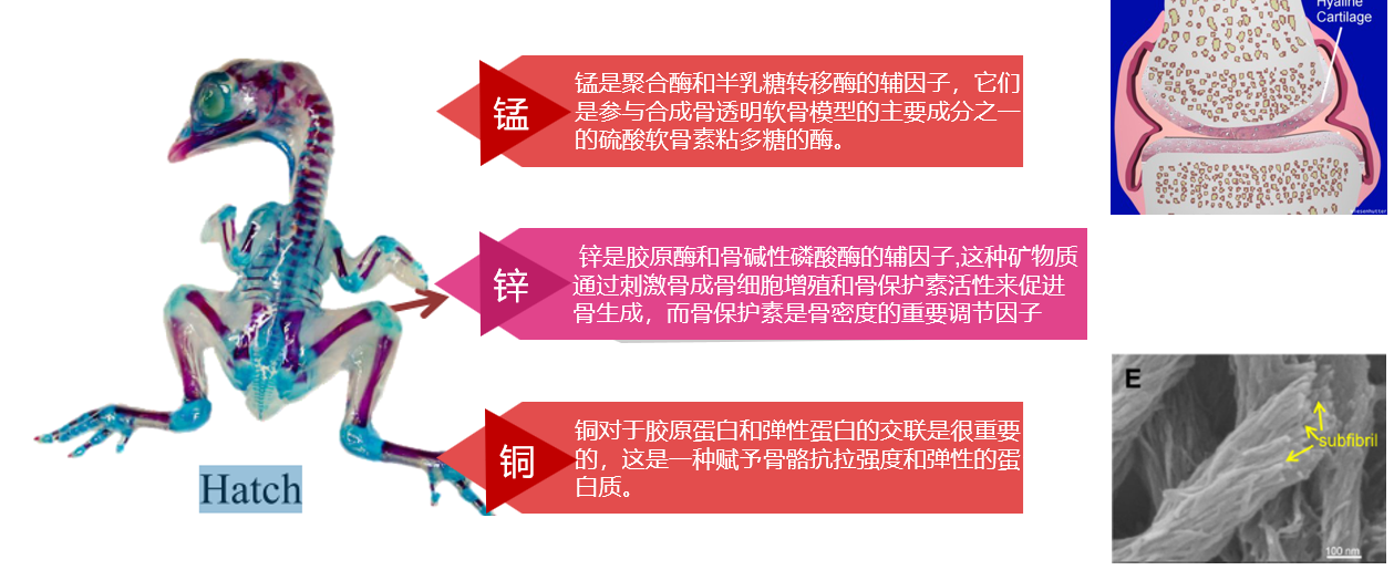 2025100906.png (363 KB)