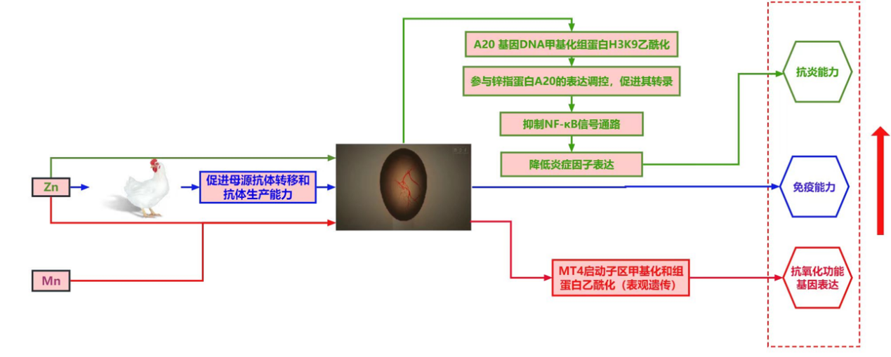 2025100907.png (247 KB)