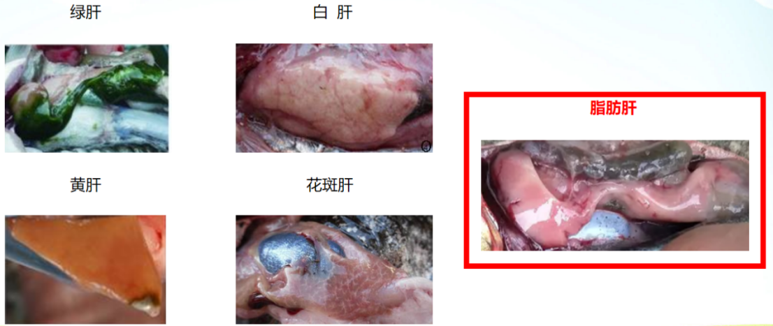 2025101401.png (351 KB)