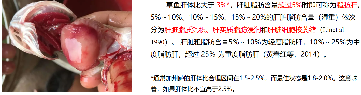 2025101402.png (340 KB)