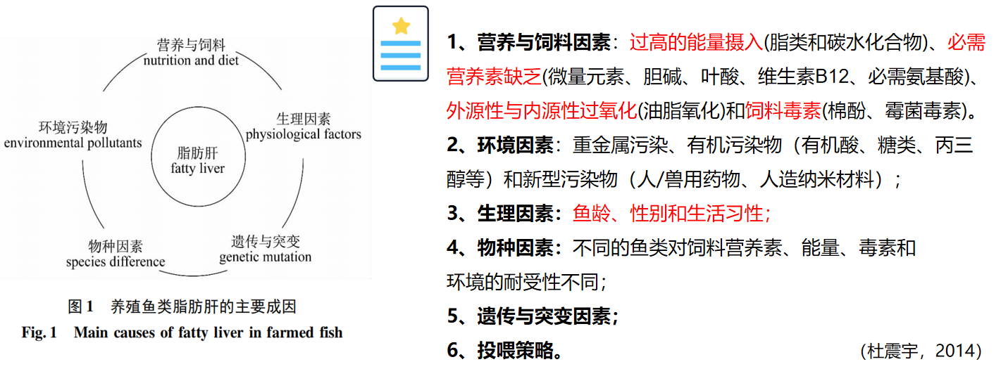 2025101403.png (217 KB)