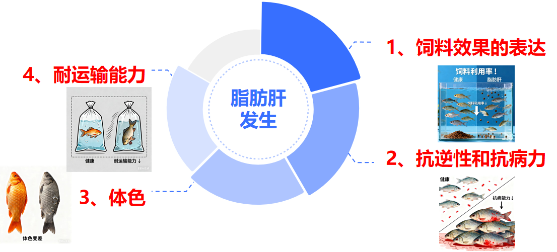 2025101404.png (205 KB)