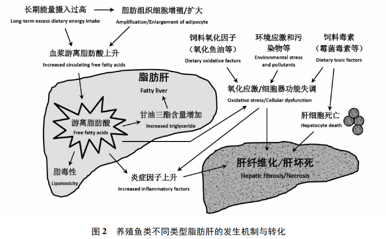 2025101406.png (217 KB)