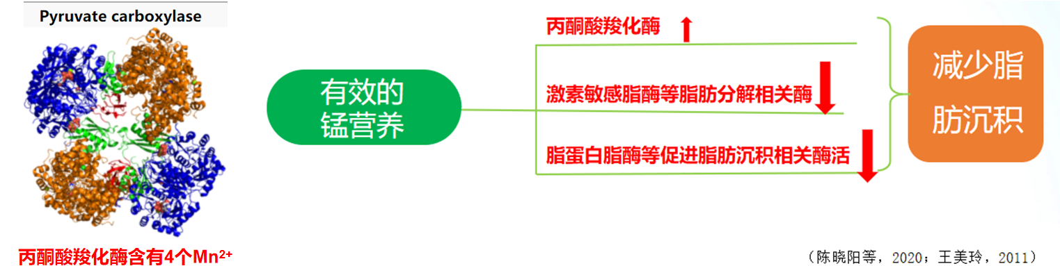 2025101407.png (259 KB)