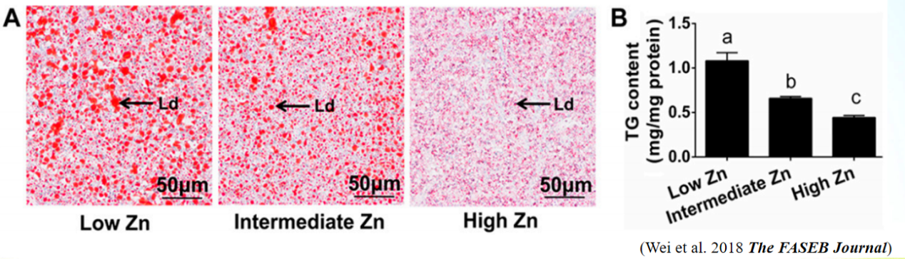 2025101410.png (565 KB)