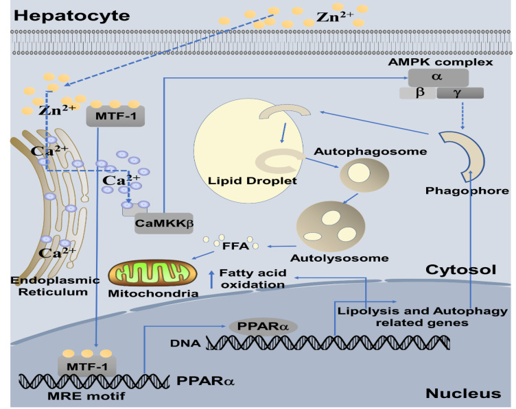 2025101411.png (1.72 MB)