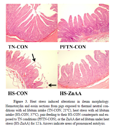 2025101414.png (263 KB)