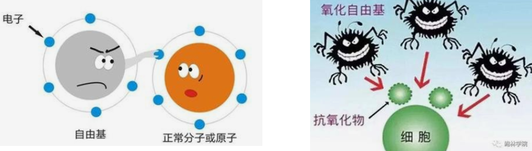 2025101416.png (260 KB)