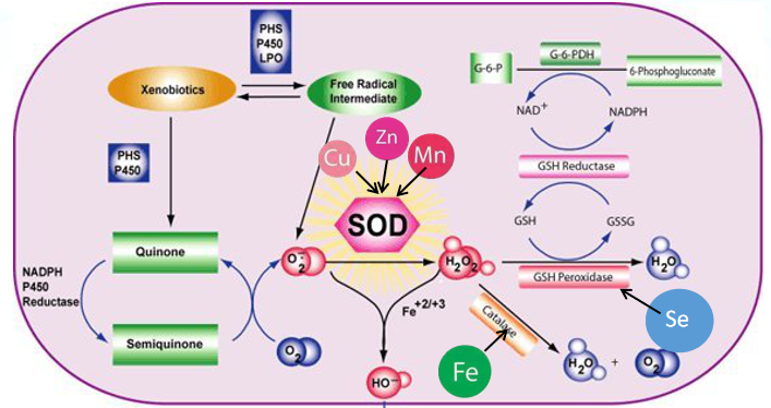 2025101417.png (248 KB)