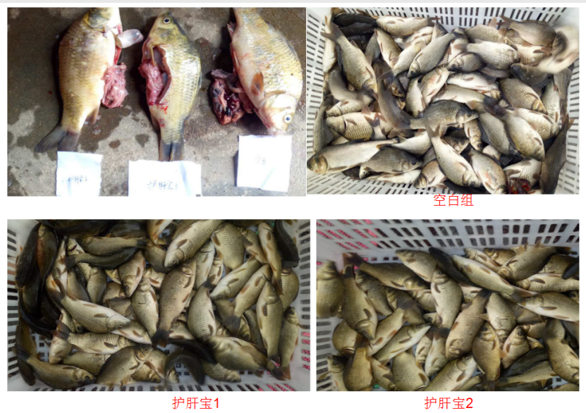 2025101420.png (745 KB)