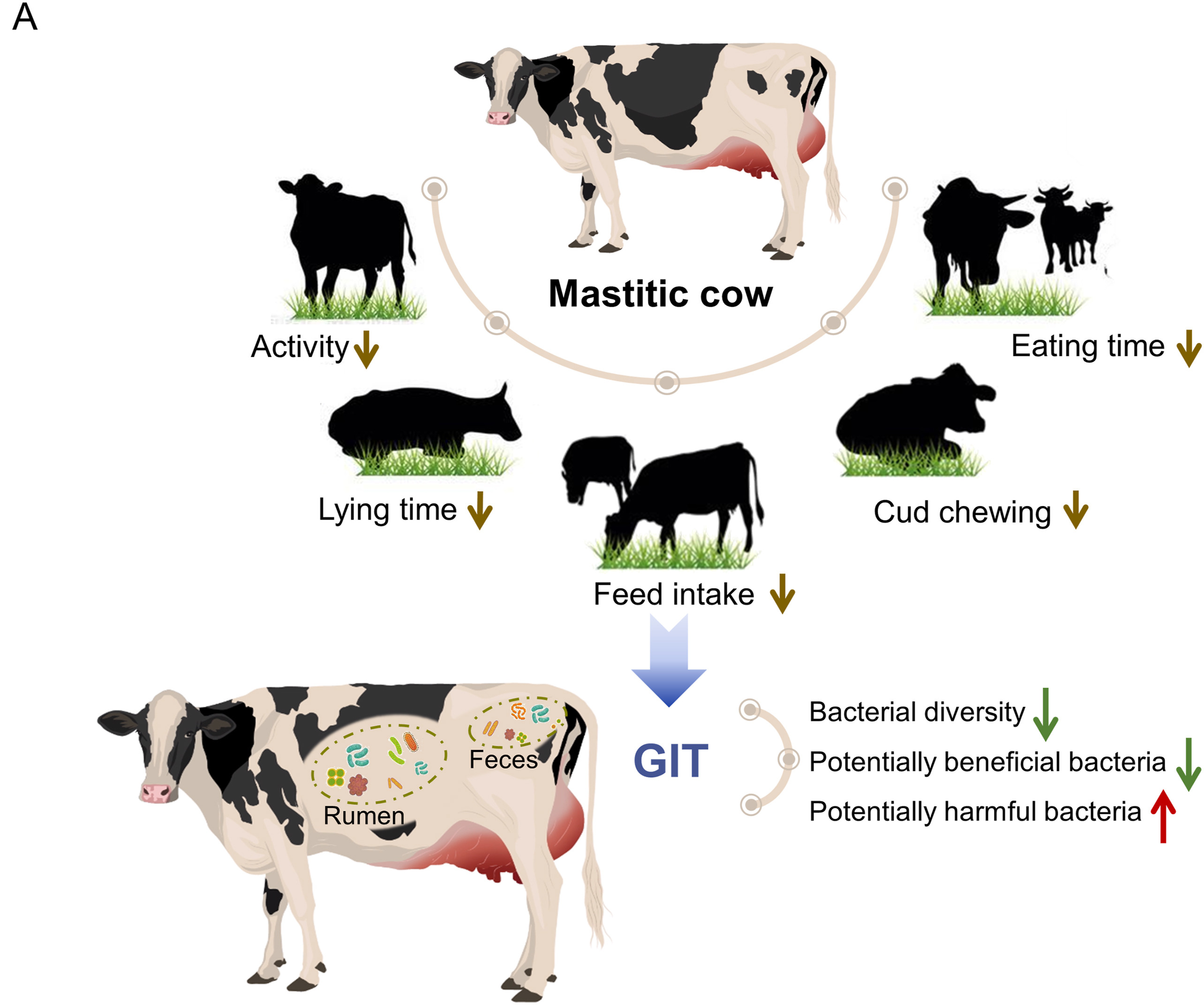 2025102101.jpg (426 KB)