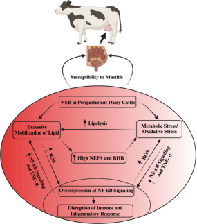 2025102105.png (361 KB)