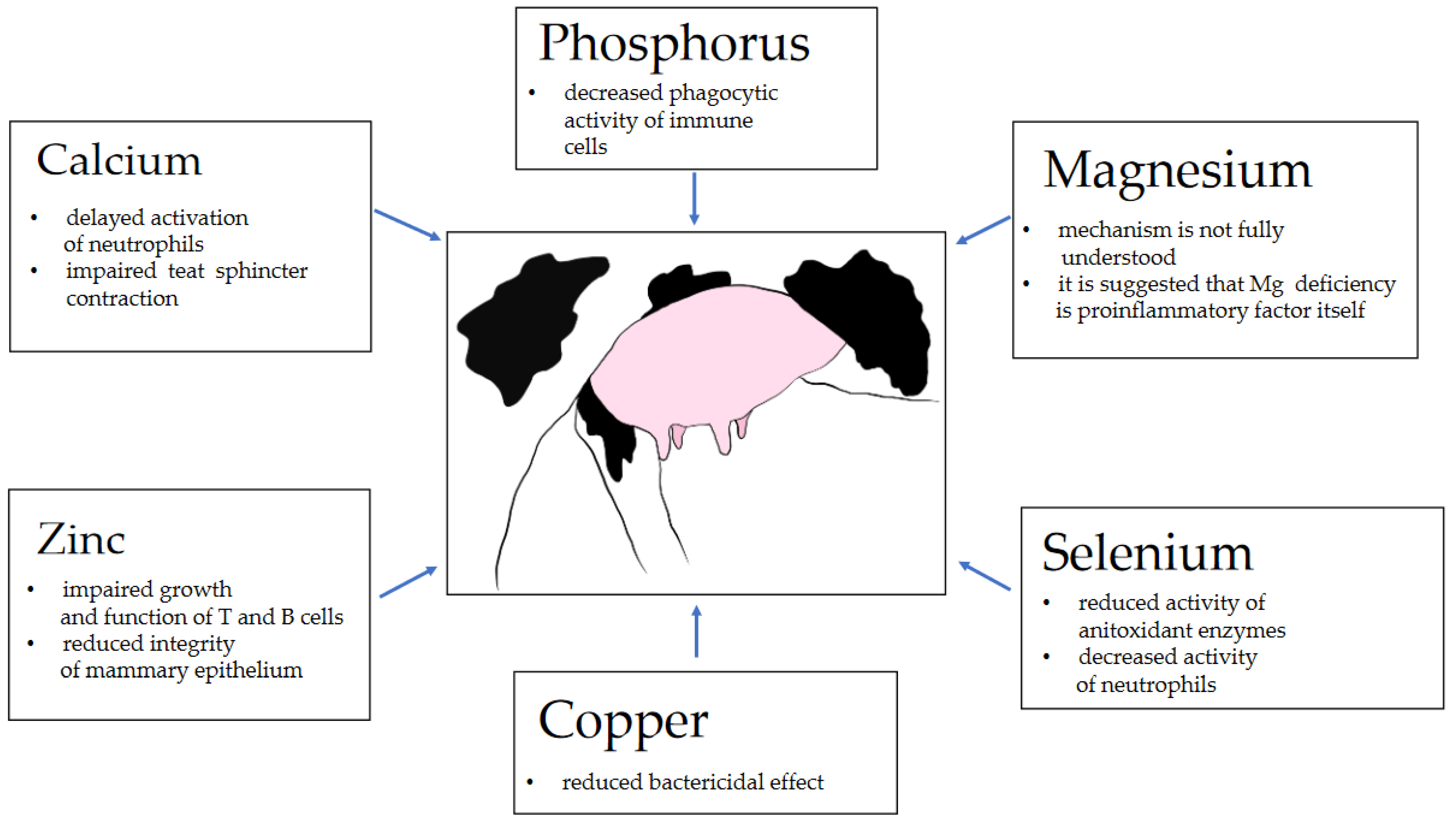 2025102106.png (510 KB)