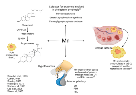 2025103002.png (80 KB)