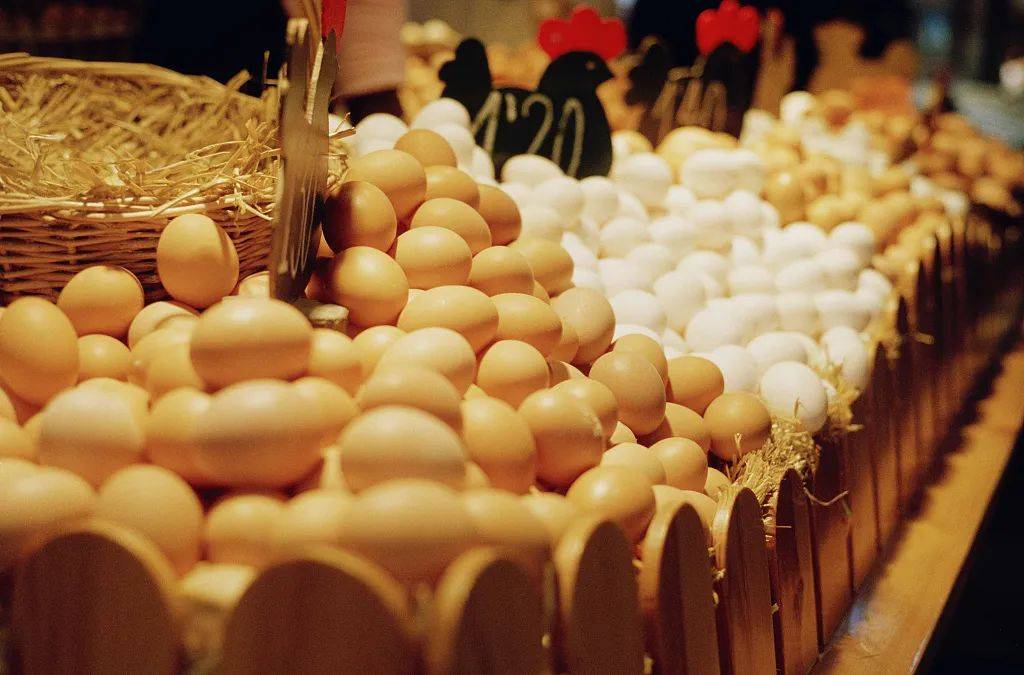 2025110401.jpg (83 KB)