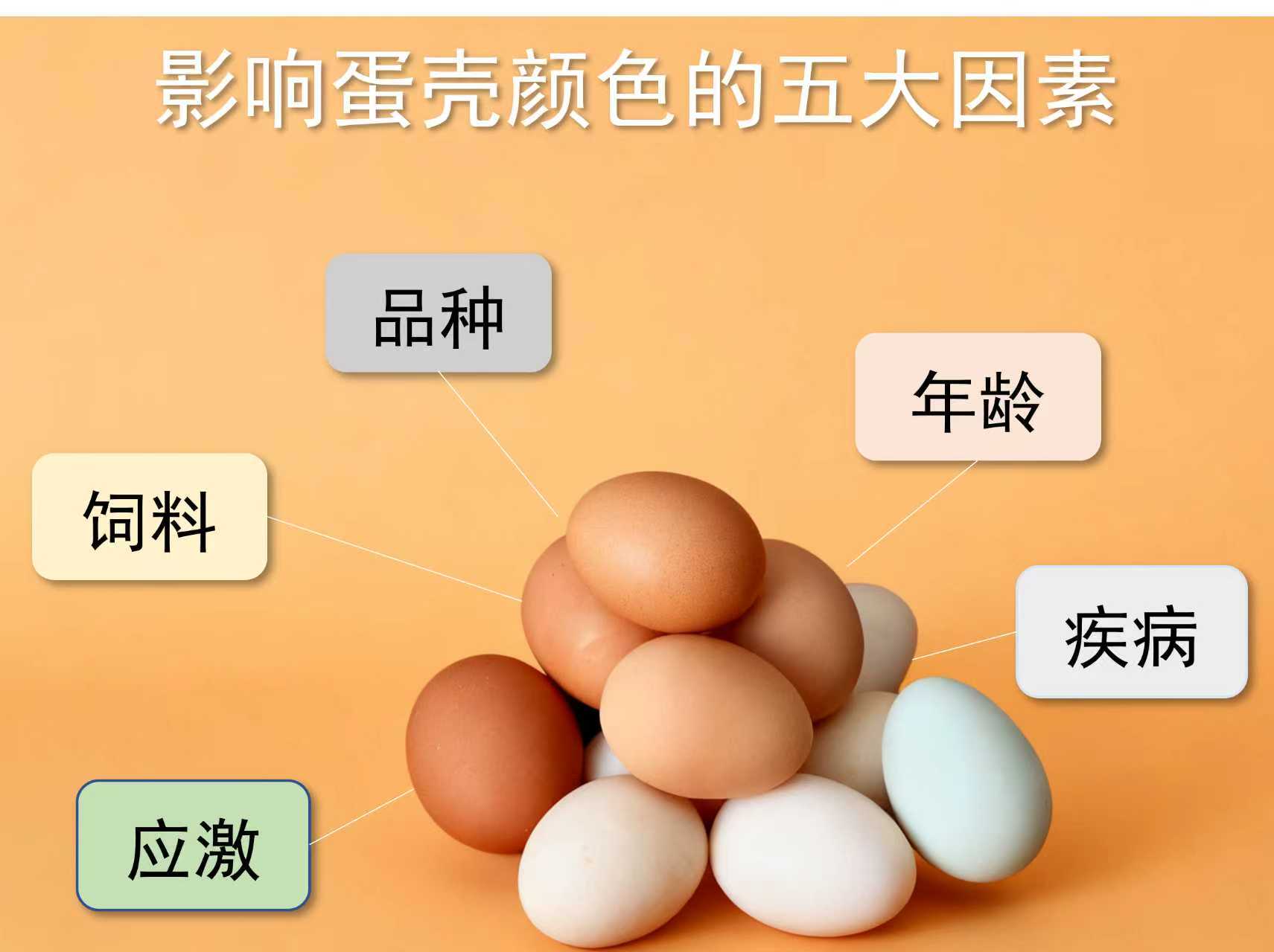 2025110402.jpg (91 KB)