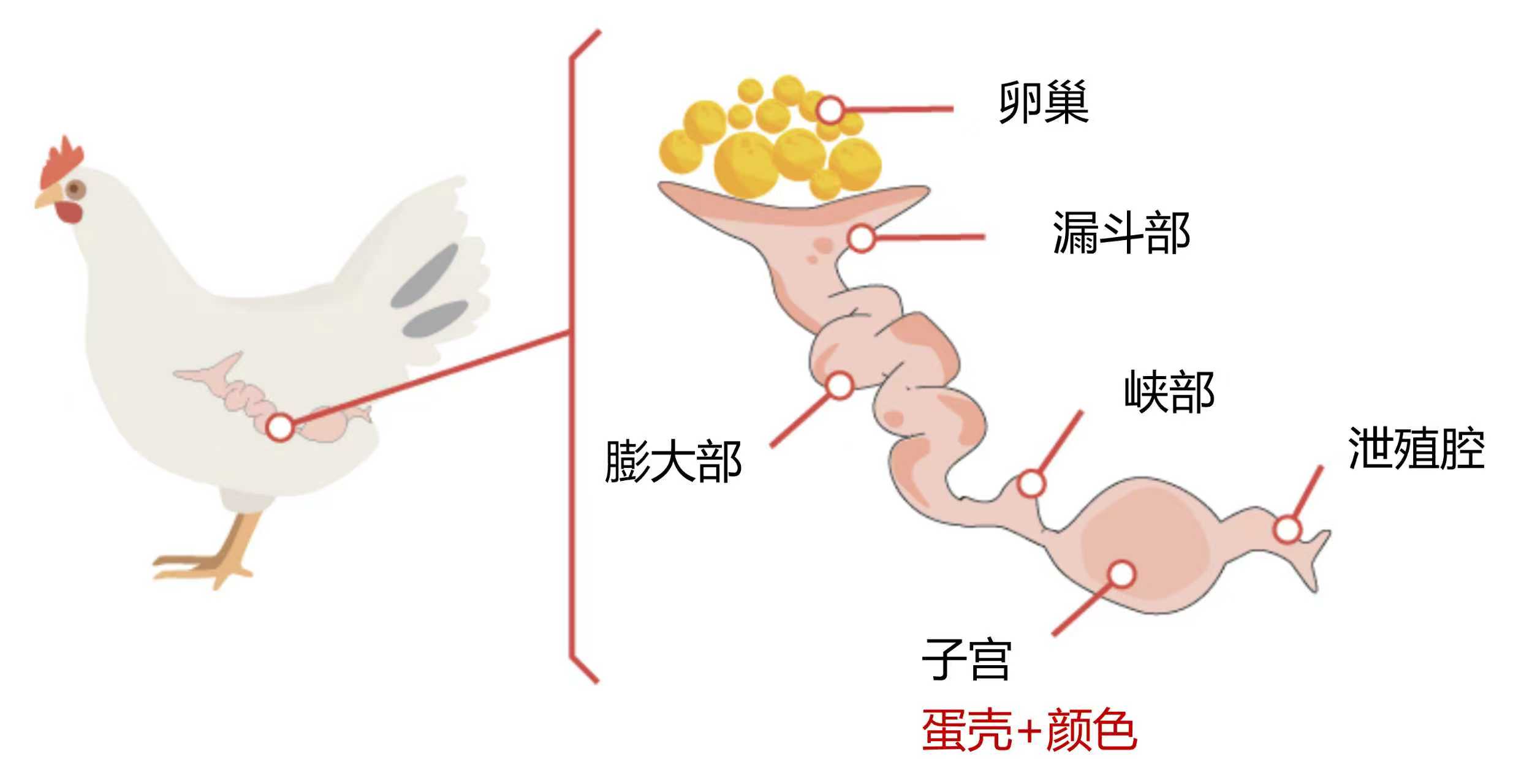 2025110403.jpg (96 KB)