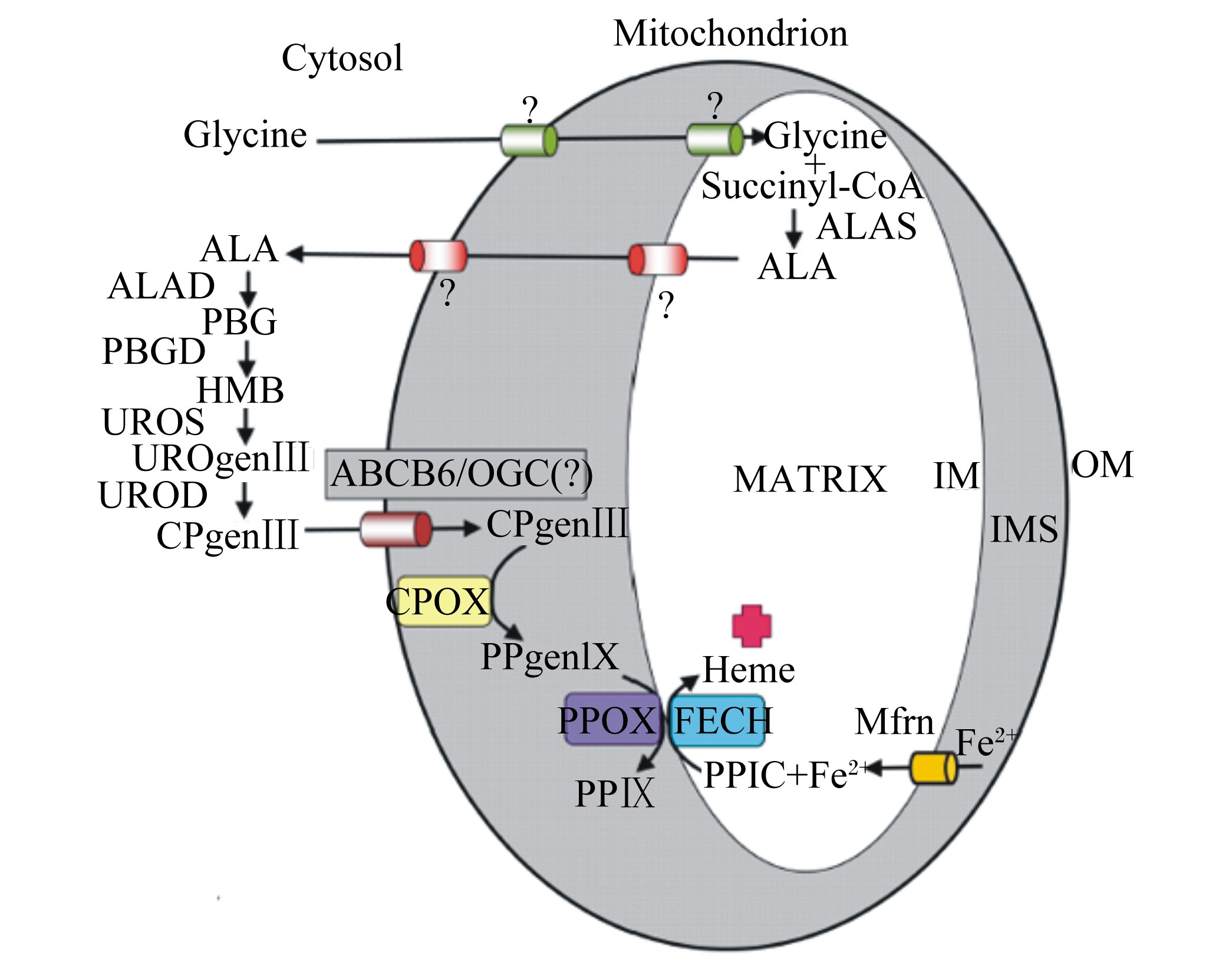 2025110404.jpg (258 KB)