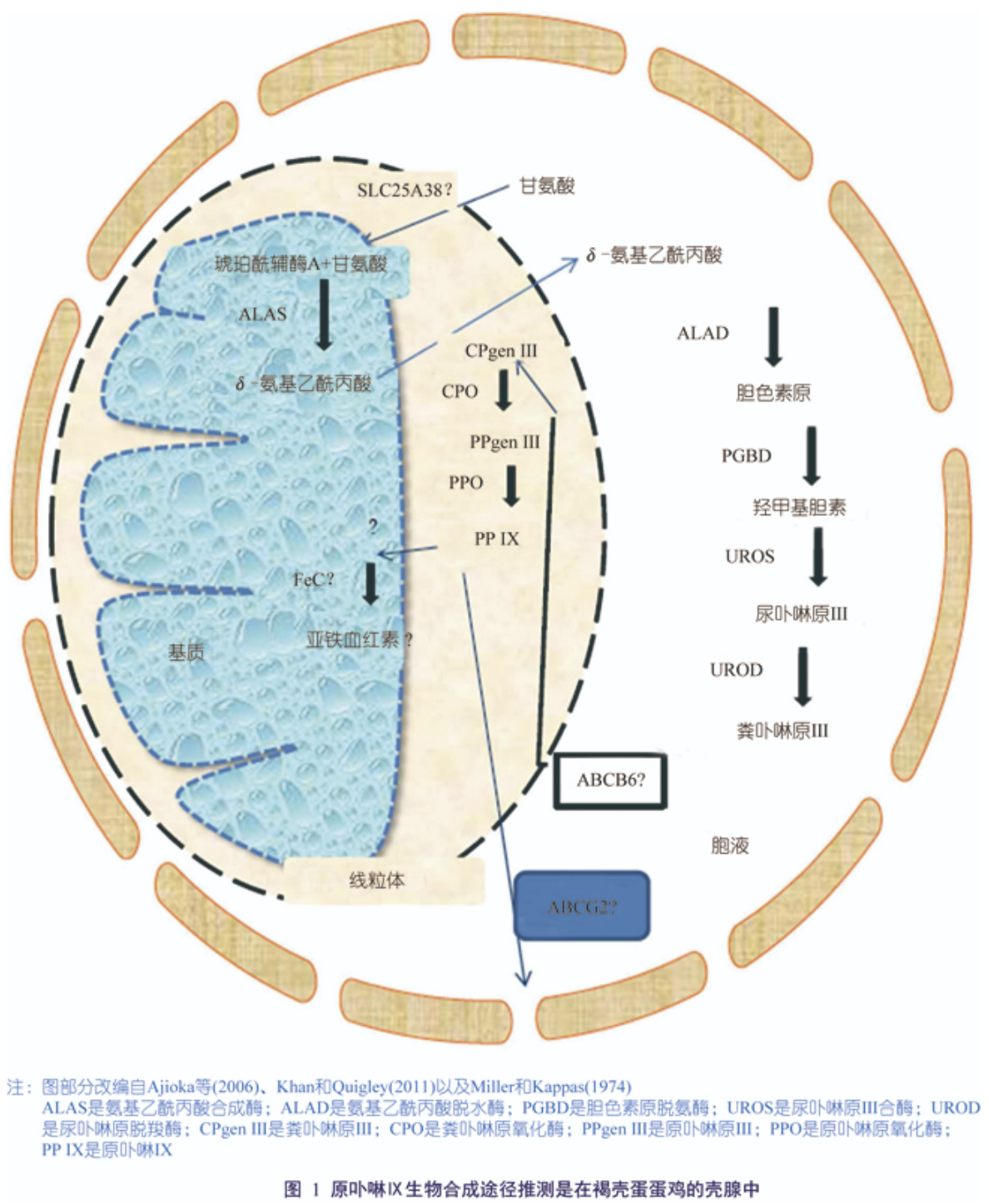 2025110405.png (1.34 MB)