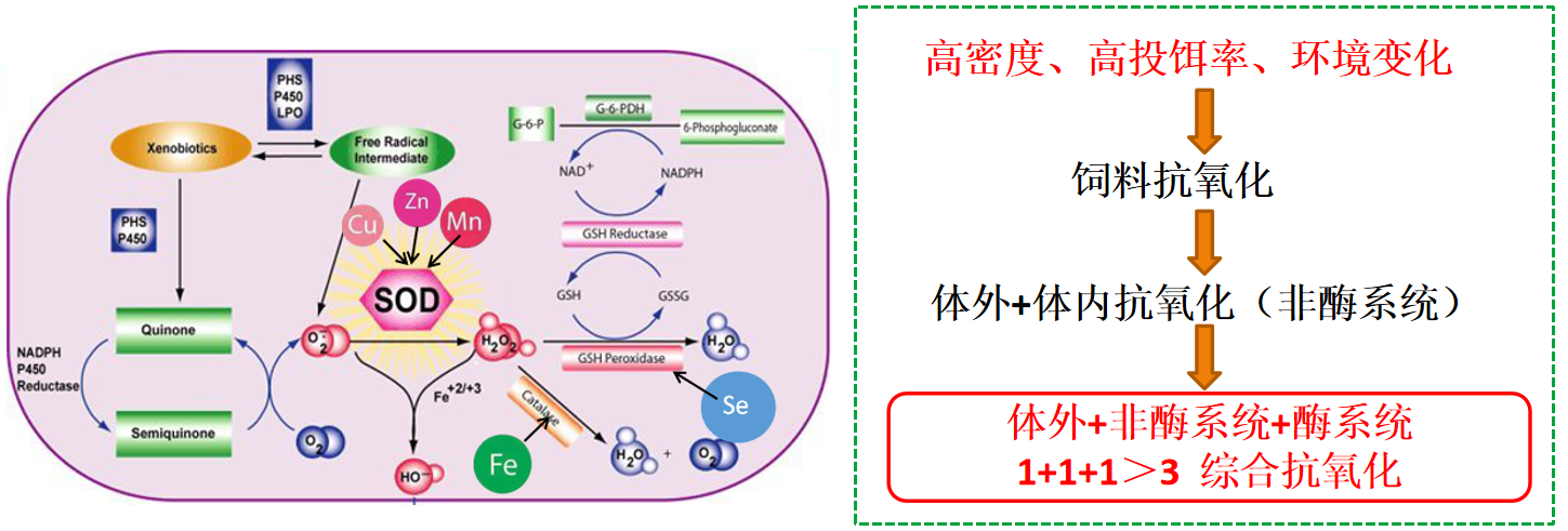 2025111103.png (358 KB)