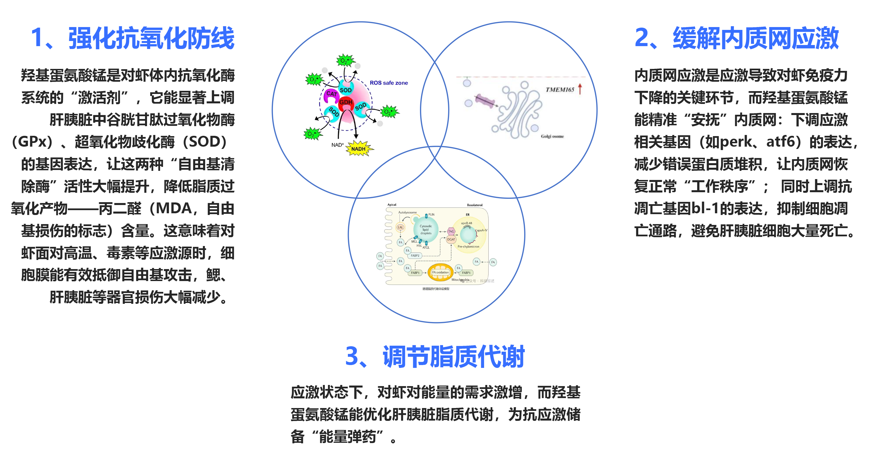 2025111104.png (669 KB)