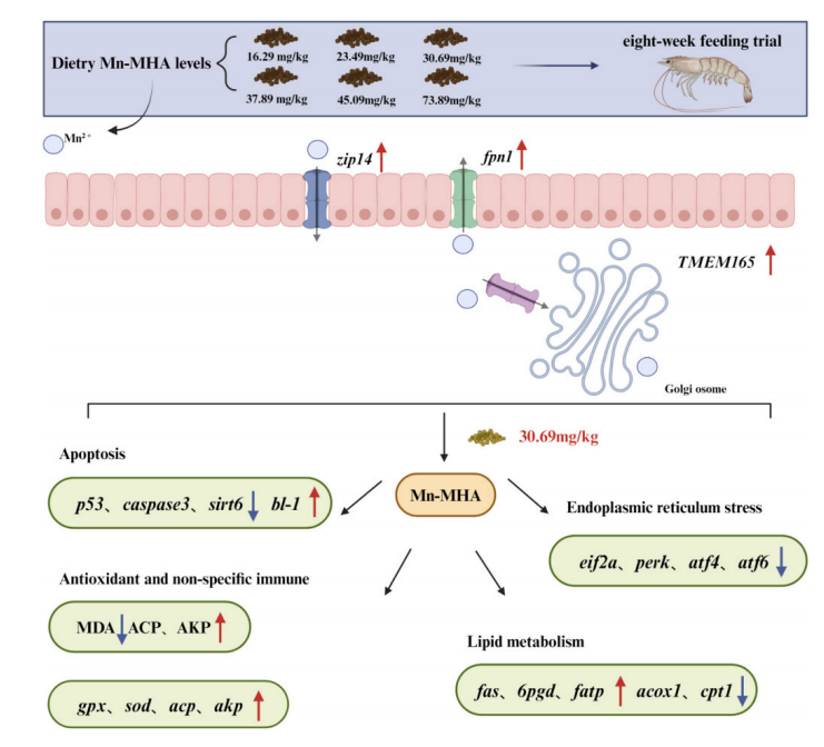 2025111105.png (225 KB)