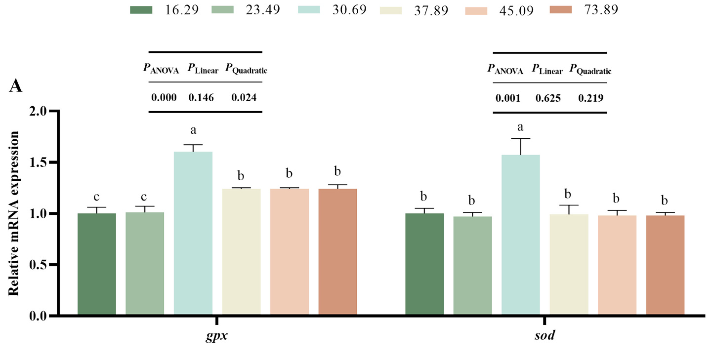 2025111110.png (132 KB)