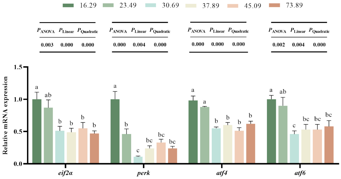 2025111111.png (207 KB)