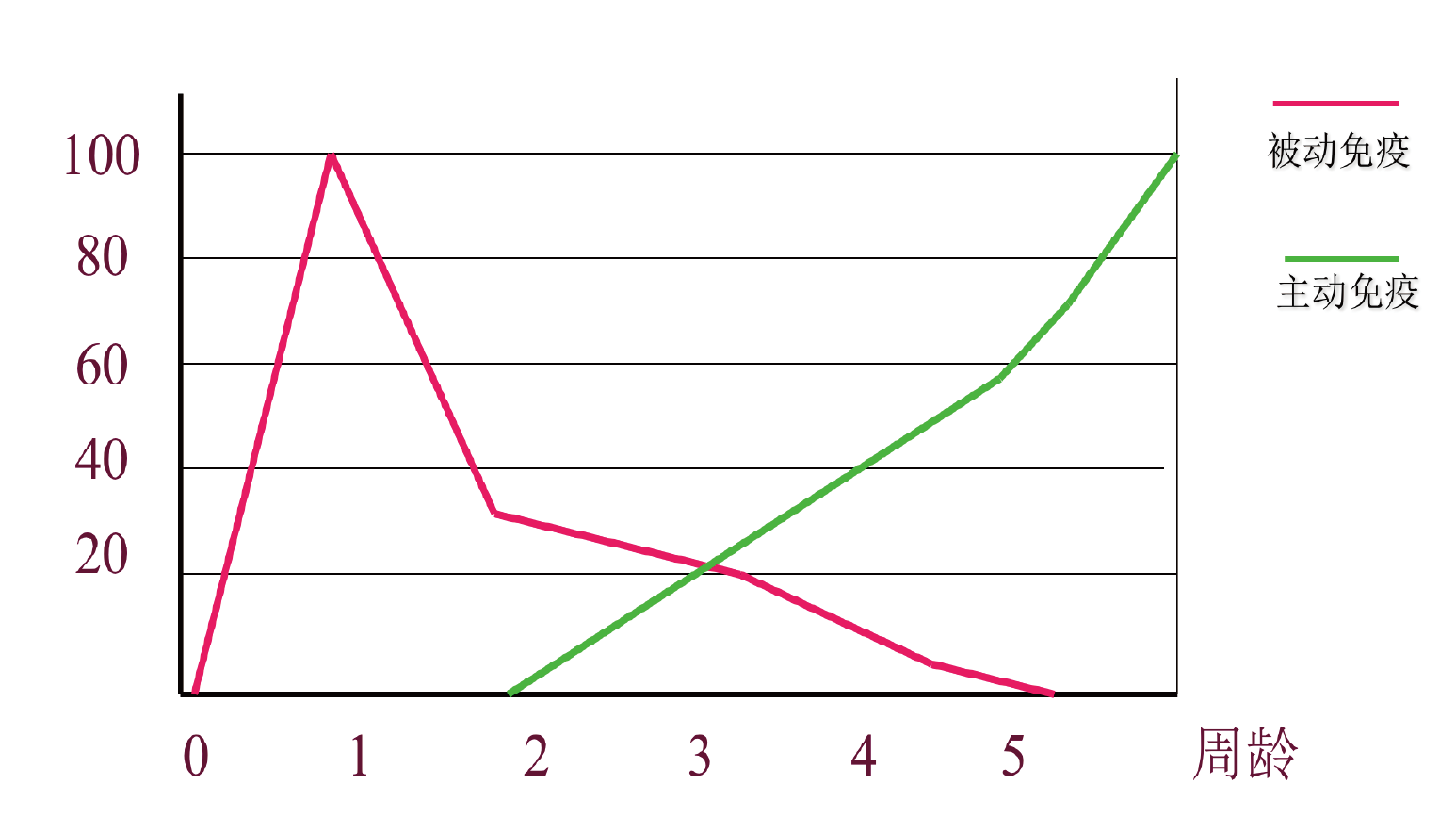 20251118-02.png (99 KB)