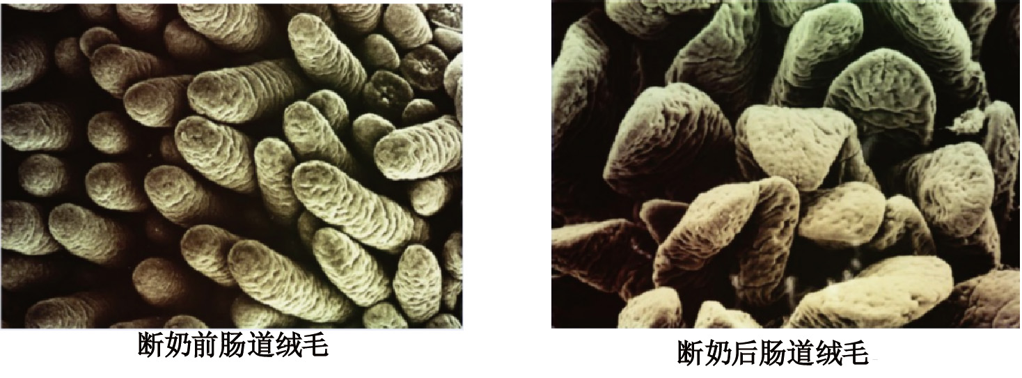 20251118-03.jpg (215 KB)