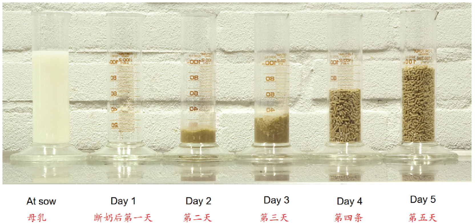 20251118-04.png (1.16 MB)